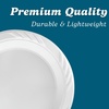 image:imageBlue Sky 100 Count Disposable Plastic Plates 6Inch White