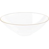 image:imagePARTY BARGAINS 16oz Disposable Organic Collection Round Bowls 10 Pack Clear with Gold Rim Elegant Plastic Dish Bowl Containers Dishware for Storing Serving