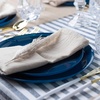 image:imagePARTY BARGAINS 106 Disposable Dark Blue Plates 20 Pack Heavy Duty Plastic Edge Collection Tableware Dish Platter Dinnerware Table Setting Plates for Catering Events