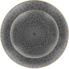 image:imagePARTY BARGAINS 7 amp 10 Organic Collection Hammered Appetizer and Dinner Plates Combo with Gold Rim  Transparent Black 32Pack Disposable Plastic Tableware for Birthdays Banquets and Formal Events
