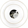 image:imagePARTY BARGAINS 7 amp 10 Organic Collection Hammered Appetizer and Dinner Plates Combo with Gold Rim  Transparent White 64Pack Disposable Plastic Tableware for Birthdays Banquets and Formal Events
