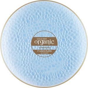 image:imagePARTY BARGAINS 9 Organic Hammered Dinner Plates 20 Pack Transparent Blue PlateGold Rim Disposable Plastic Table Setting Dish Plates for Birthdays Banquet Formal Events