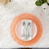 image:imagePARTY BARGAINS 13 Inch Plastic Charger Plates Raindrop Transparent Rose Gold 8 Pack