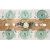 image:imagePARTY BARGAINS 13Inch Charger Plates  8 Pack Organic Collection Black Gold Rim HeavyDuty Disposable Chargers for Elegant Dining  Ideal for Weddings and Formal EventsGreen With Gold Rim