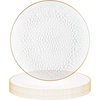image:imagePARTY BARGAINS 13Inch Charger Plates  8 Pack Organic Collection Black Gold Rim HeavyDuty Disposable Chargers for Elegant Dining  Ideal for Weddings and Formal EventsHammered Clear Gold Rim